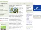 Internet: Studien- und Berufswahl