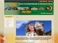 Internet: Erste Österreichische Kamelreitschule
