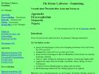 Internet: Labiatae-Sammlung, Die